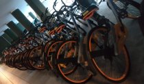 bikes